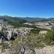 Ki06-37