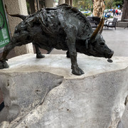 IMG-2296