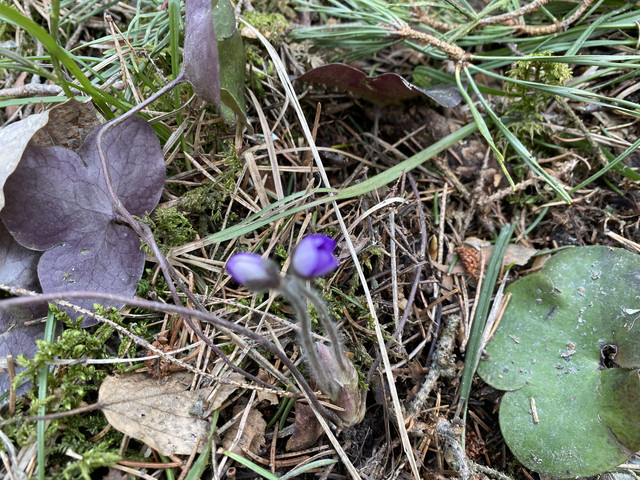 C7-DD5846-FA50-4-E74-ABB4-83-E94-BA70668