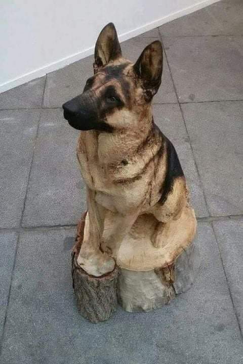 mmmmmm.jpg