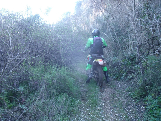 DSCF9007.jpg