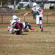 IMG-3194