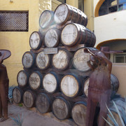 P1100162