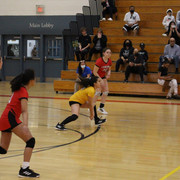 IMG-0133