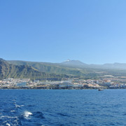 DSC-2733