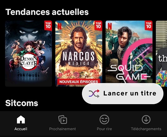 https://i.ibb.co/qmzLnDh/NETFLIX.jpg