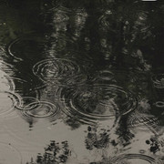 IMG-6614