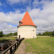 IMG-1410