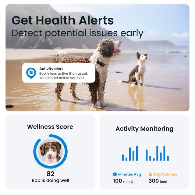 Health Tracking