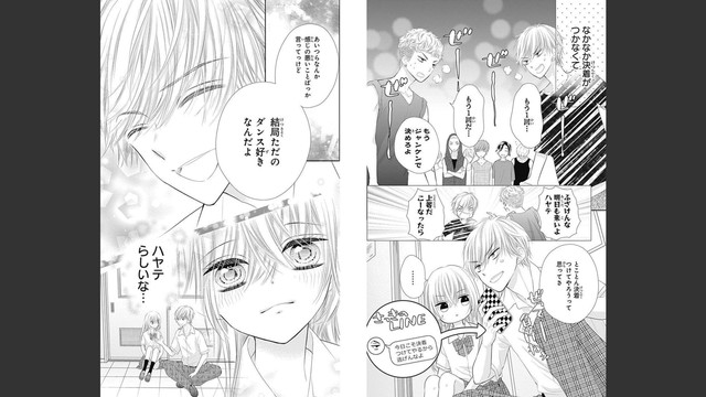 DLRAW-NET-012