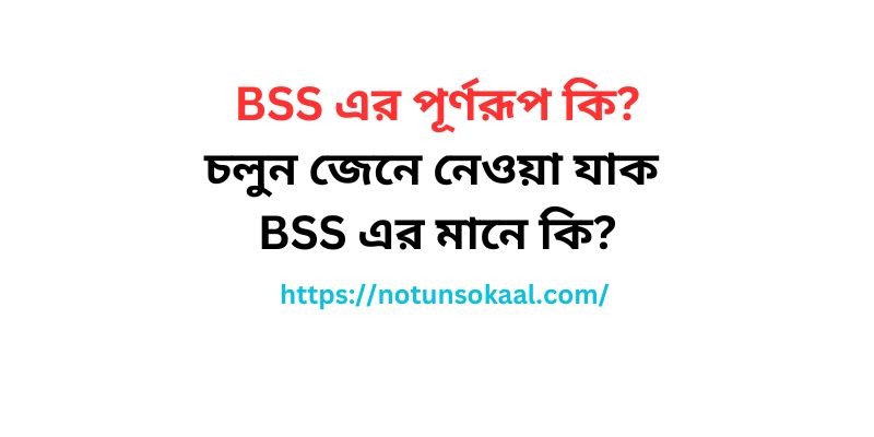 bss-full-form