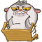 https://i.ibb.co/qp1WpyV/image.png