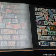 IMG-2542