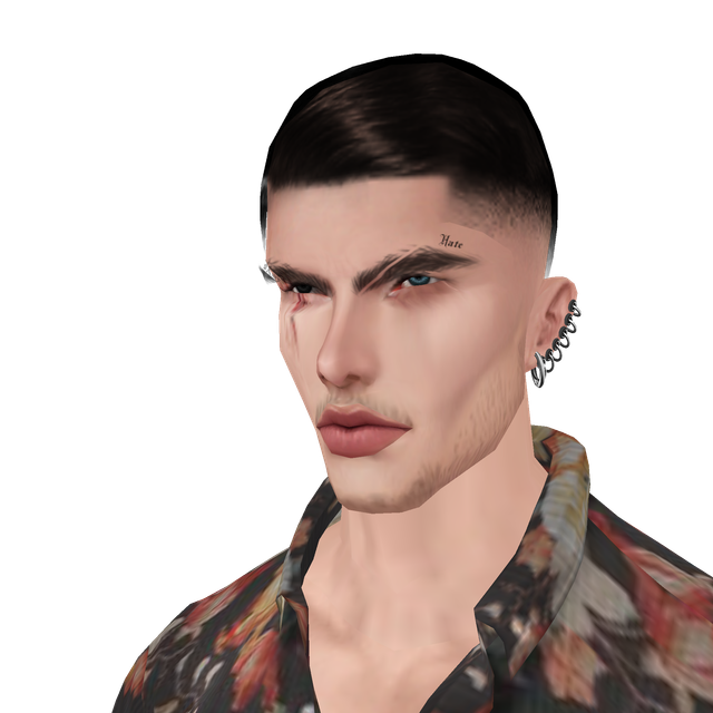 hi-Res-No-Bg307.png