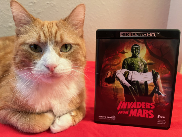 Chico-and-Invaders