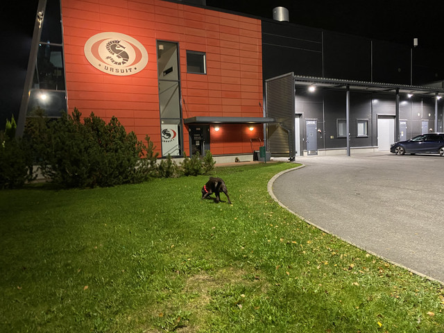 D269-A5-FA-9005-49-E0-8-A47-D0-C674-ED38