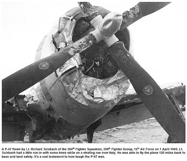 P-47-vs-trees