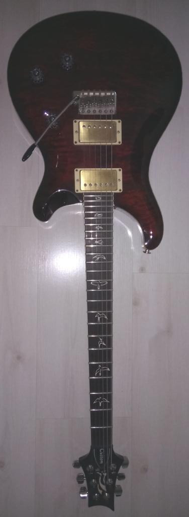 prs-2010a.jpg
