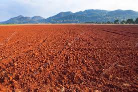 laterite