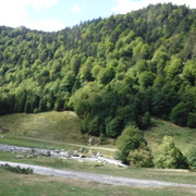DSCF6218