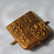 IMG-6808