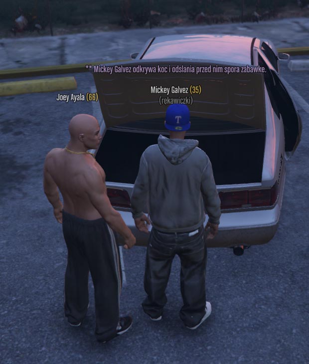 ss5.jpg