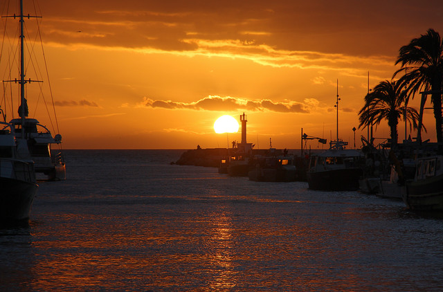 IMG-3181