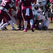 IMG-4239