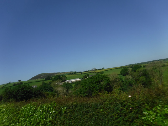 DSCF7857