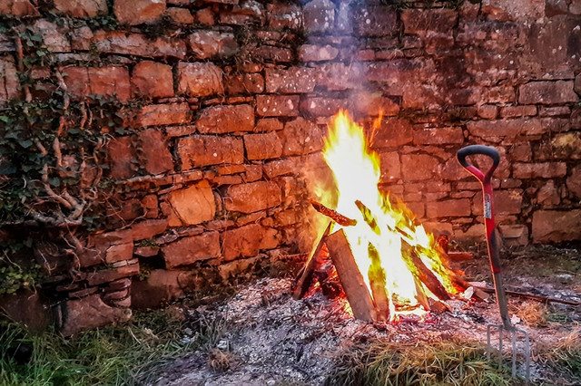 bonfire.jpg