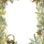 26