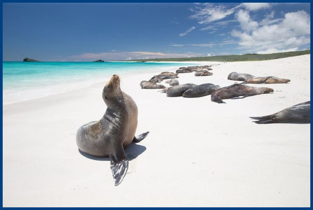 Galapagos-4