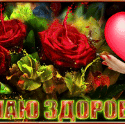 zdorovia