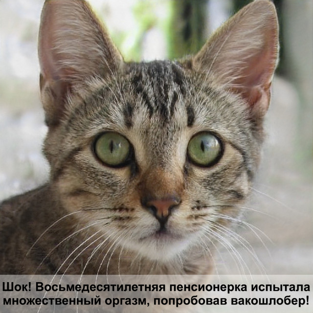 Загружено: Надя Халилова. Россия Астрахань