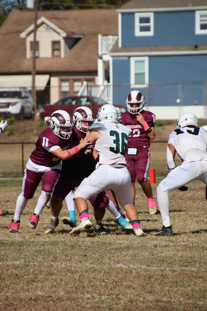 IMG-3201
