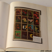 IMG-3986