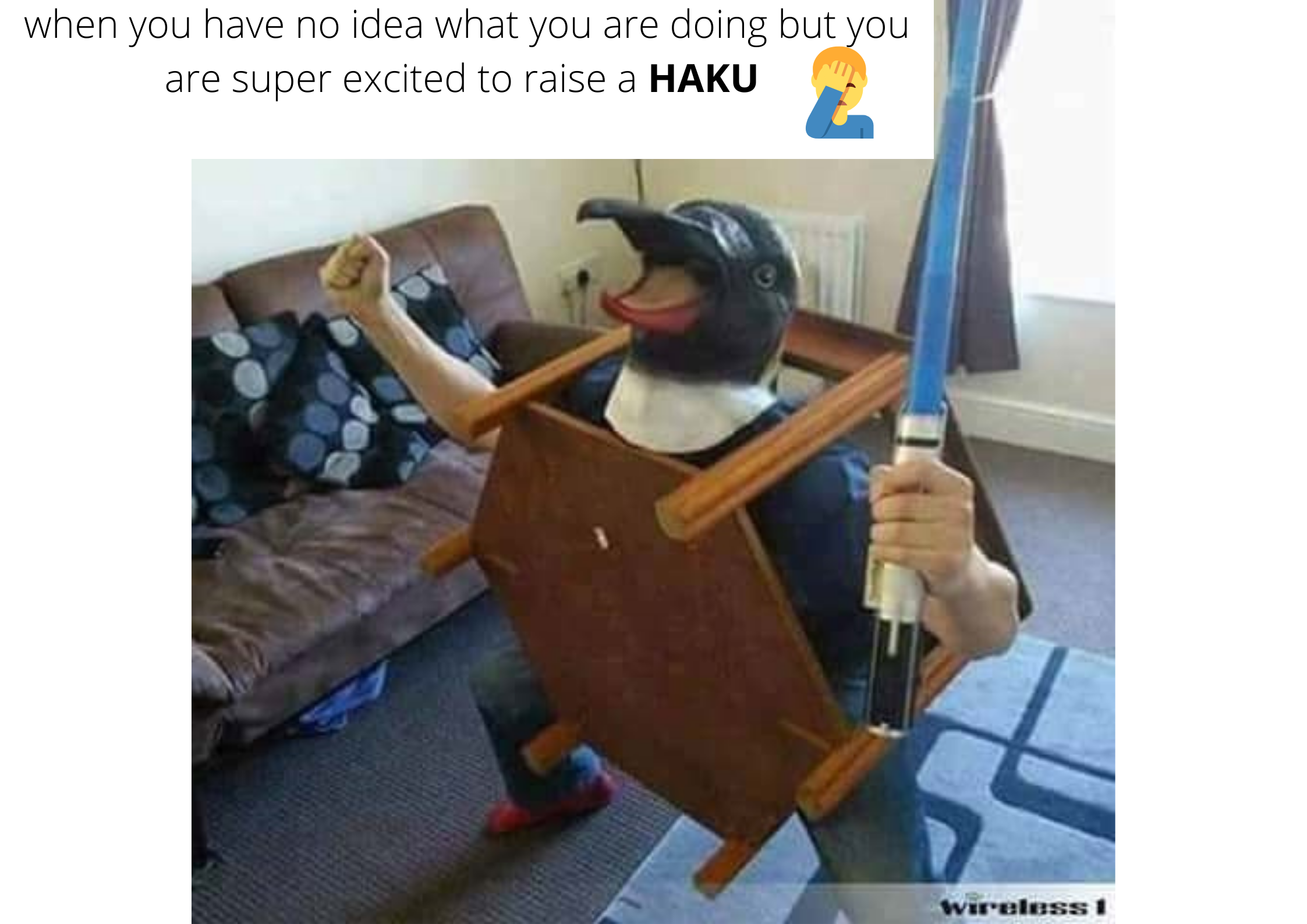 [Image: 011MEME.png]