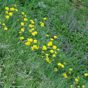 DSC00040-5