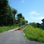 P1330937