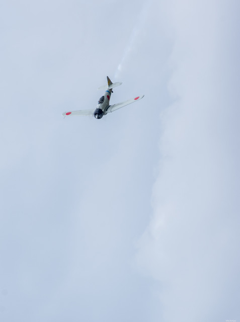 IMG3422.jpg