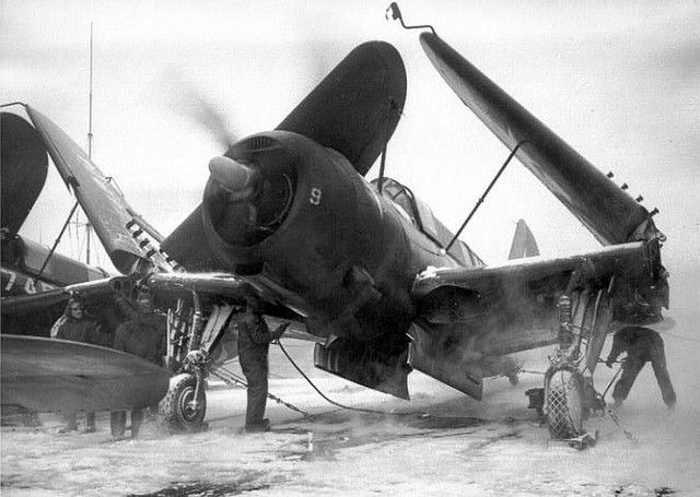 Helldiver-snow