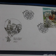 IMG-2726