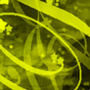yellow01
