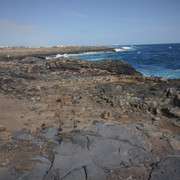 DSC00979