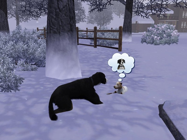 Screenshot-554.jpg