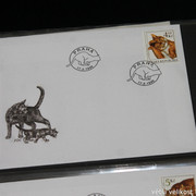 IMG-2627