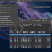 fedora1