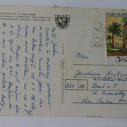 IMG-7004