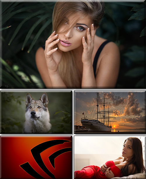 Computer Desktop Wallpapers Collection. Part 2793