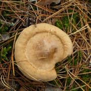 P1130658